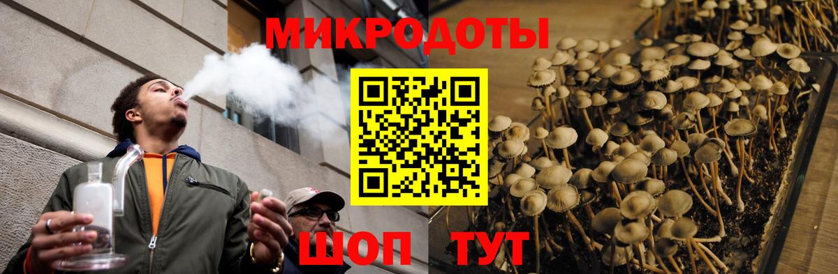 Галлюциногенные грибы Psilocybe  Вход с VPN  Родники 